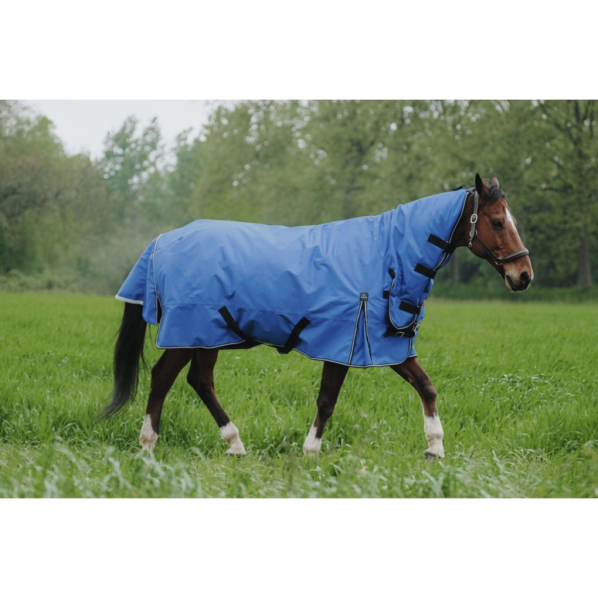 EQUITHÈME Outdoordecke Tyrex 1200D 100g Aisance Combo Royal Blue