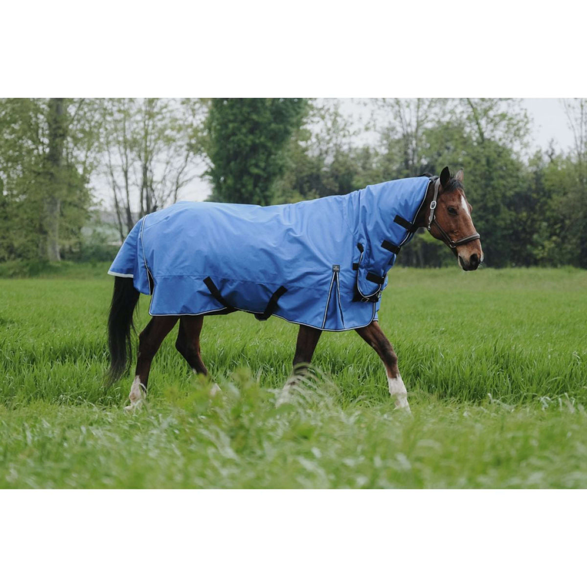 EQUITHÈME Outdoordecke Tyrex 1200D 100g Aisance Combo Royal Blue