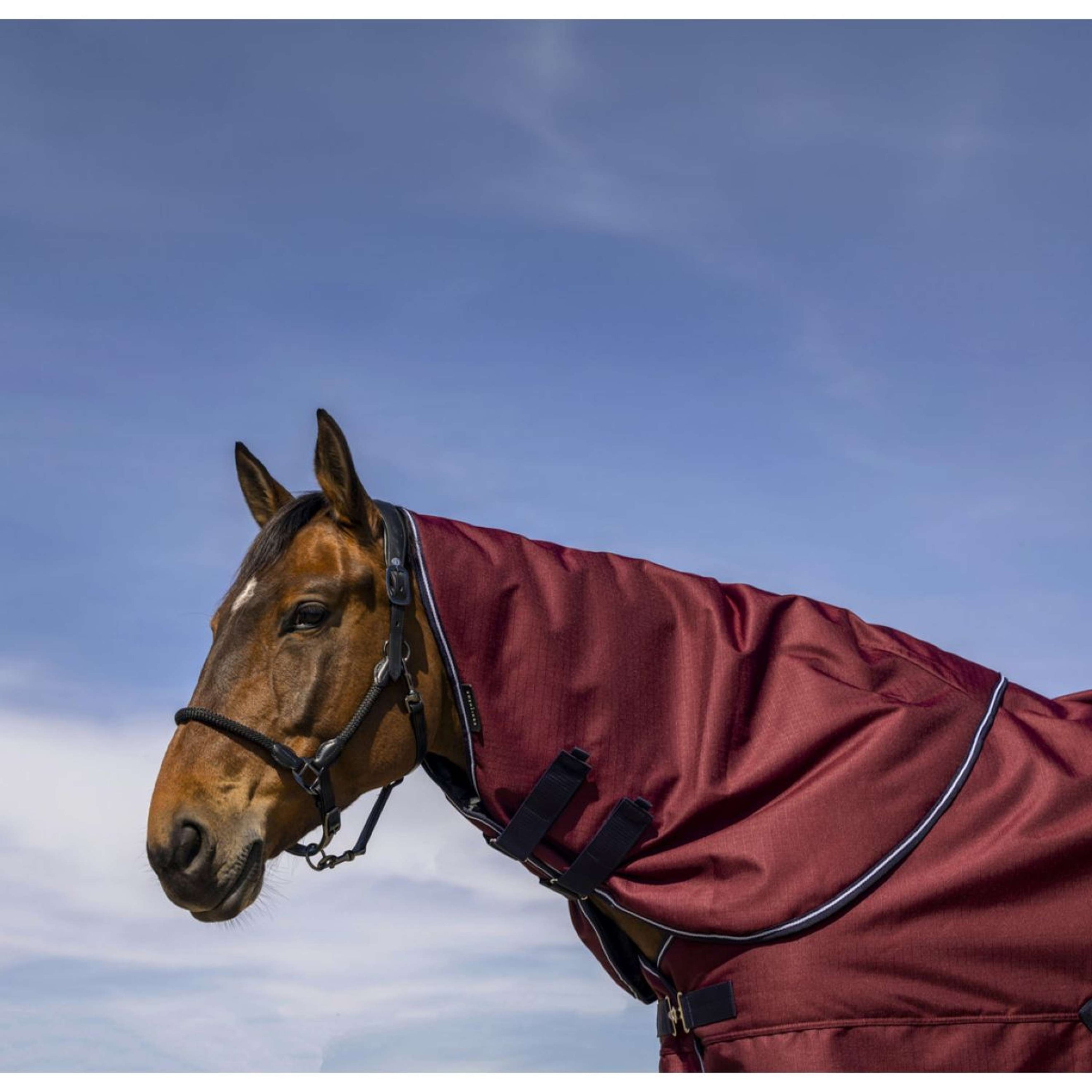 EQUITHÈME Halsstück Tyrex 1200D 0g Burgunderrot EQUITHÈME Halsstück Tyrex 1200D 0g Burgunderrot