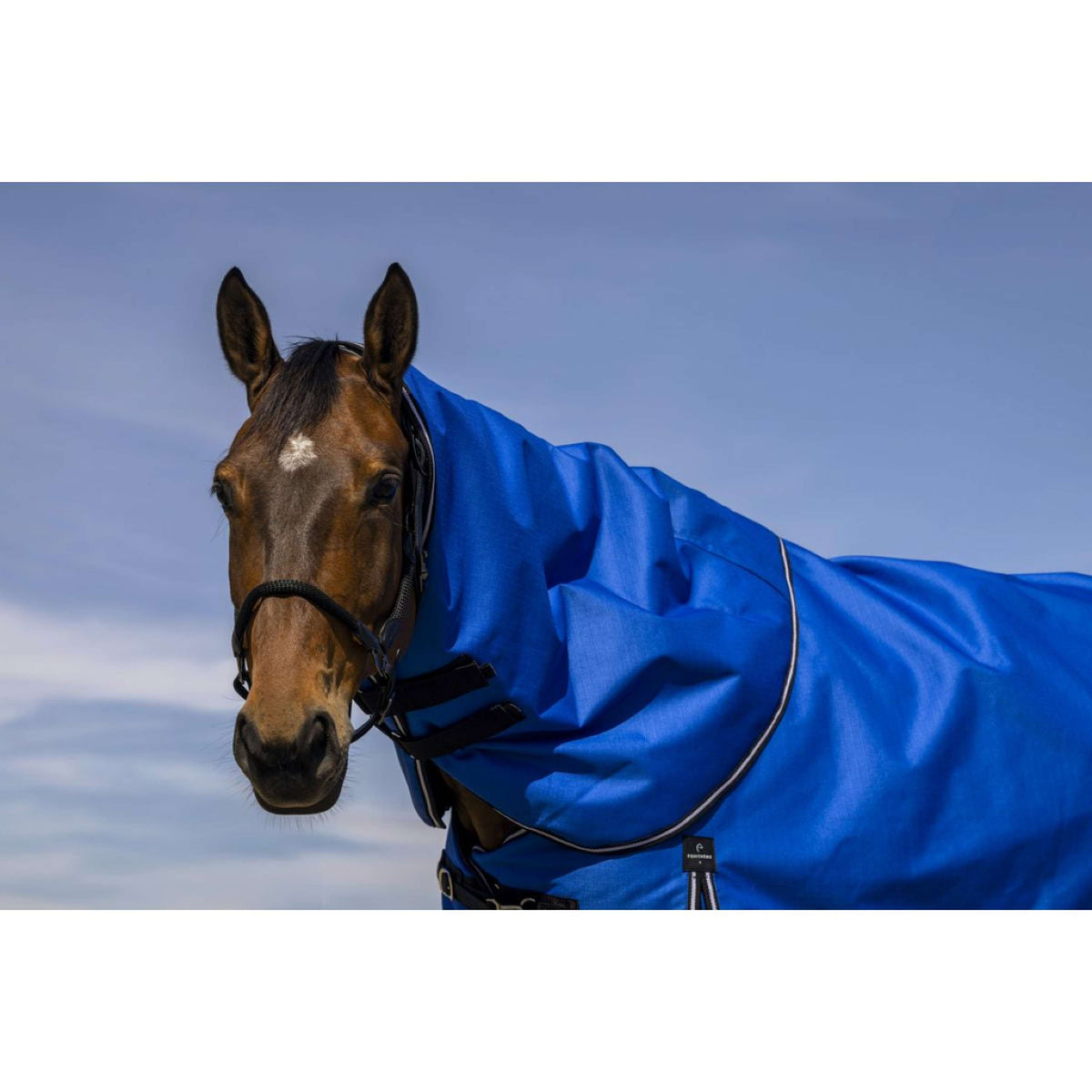 EQUITHÈME Halsstück Tyrex 1200D 200g Aisance Royal Blue