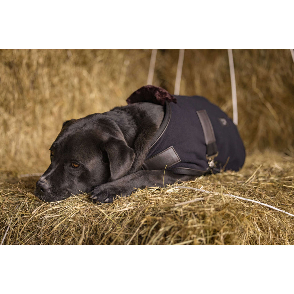 Diego & Louna Hundedecke Polar Schwarz