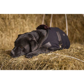 Diego & Louna Hundedecke Polar Schwarz