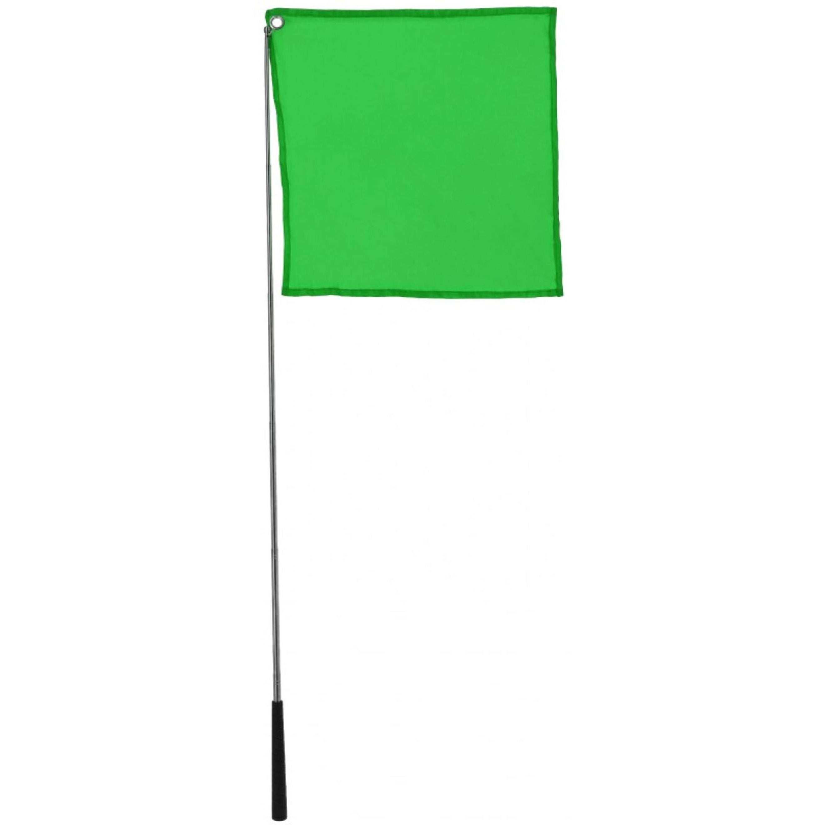 Hippotonic Trainingsstock Ethologisch mit Flagge Grün