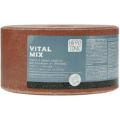 Hippotonic Leckstein Vitalmix Salt