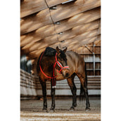 EQUITHÈME Halfter Set Weihnachten Rot