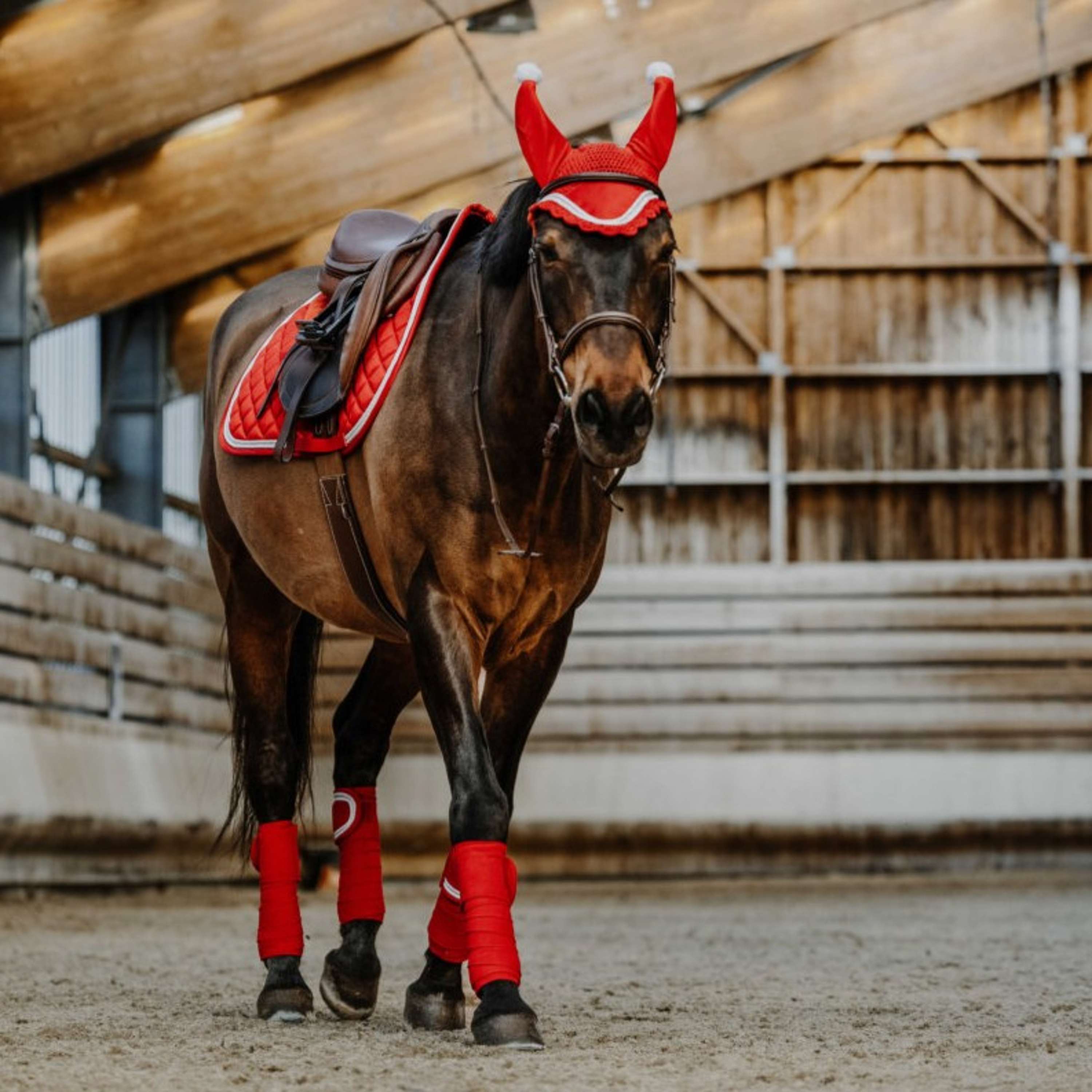 EQUITHÈME Bandagen Weihnachten Rot