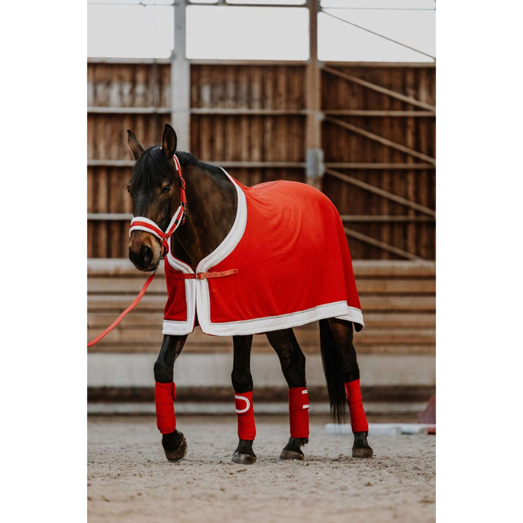 EQUITHÈME Halfter Set Weihnachten Rot