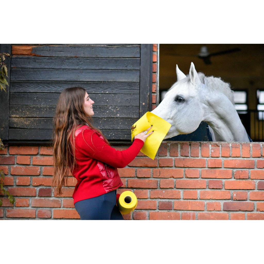 Horsewipe Reinigungstuchrolle Gelb