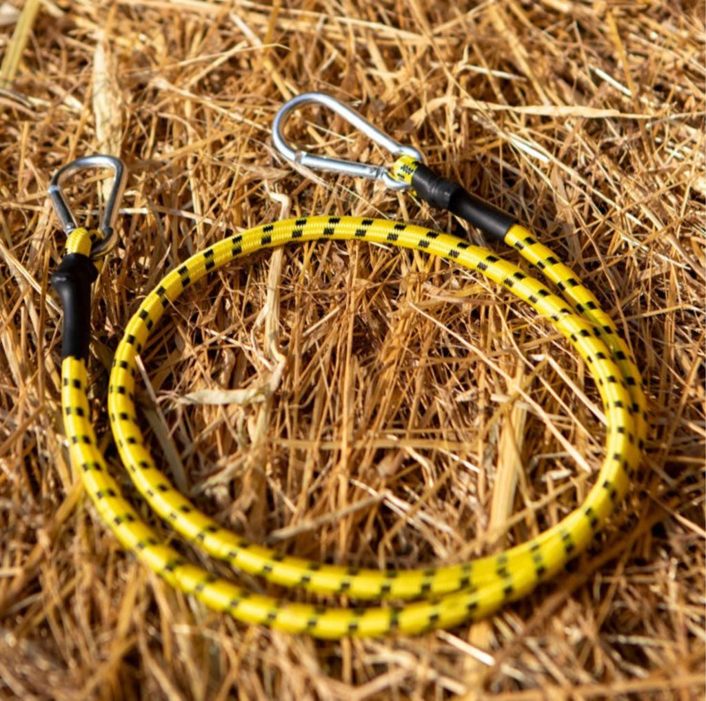 Horsewipe Gummizug mit Karabinerhaken Gelb