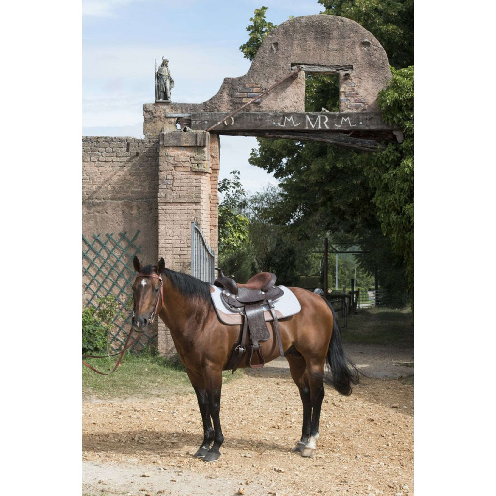 Westride Filzpad Grau