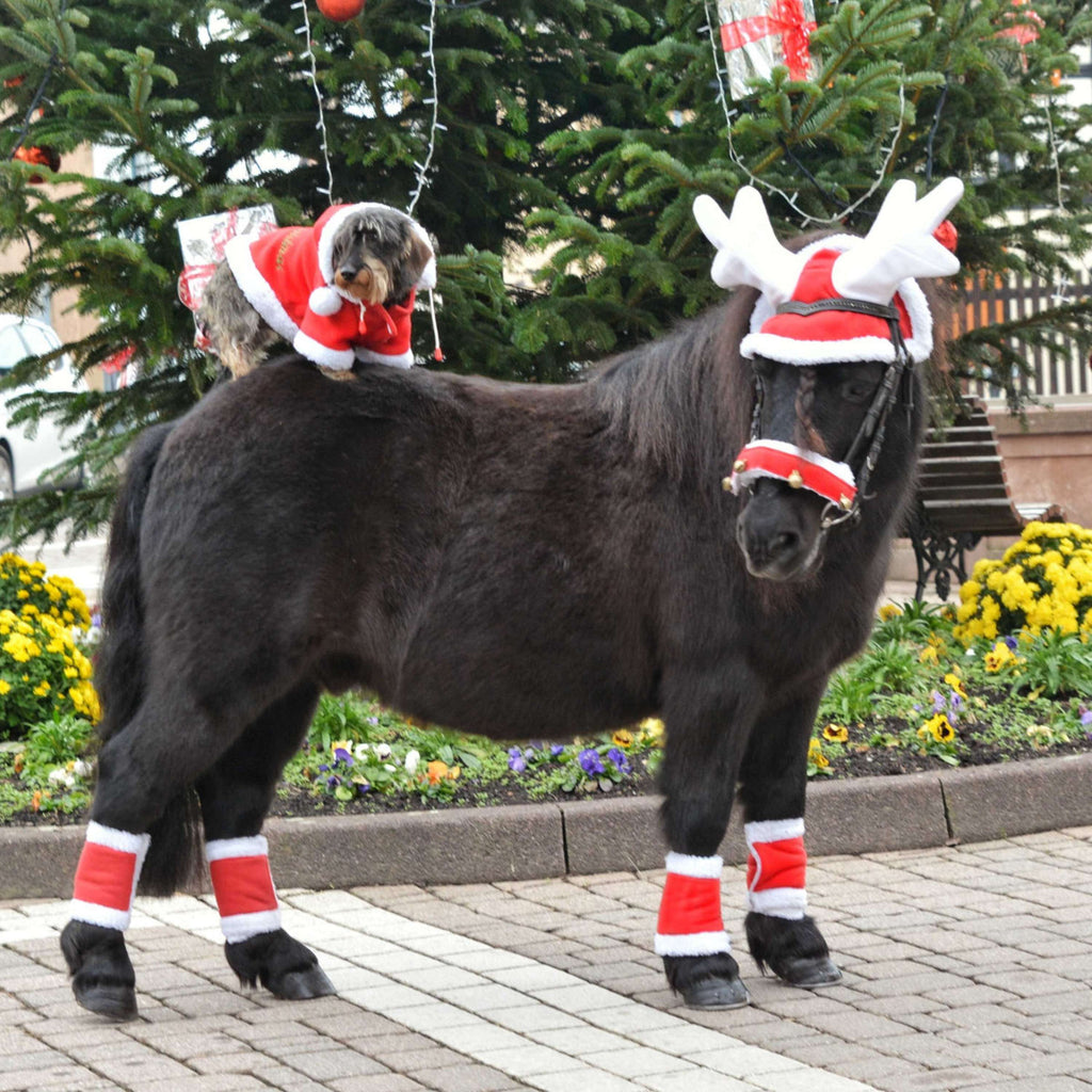 EQUITHÈME Rentiergeweih Nikolausmütze Rot