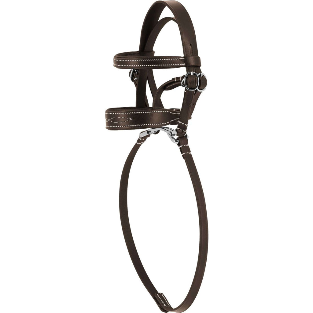 EQUITHÈME Pony Academy Zaum Havanna