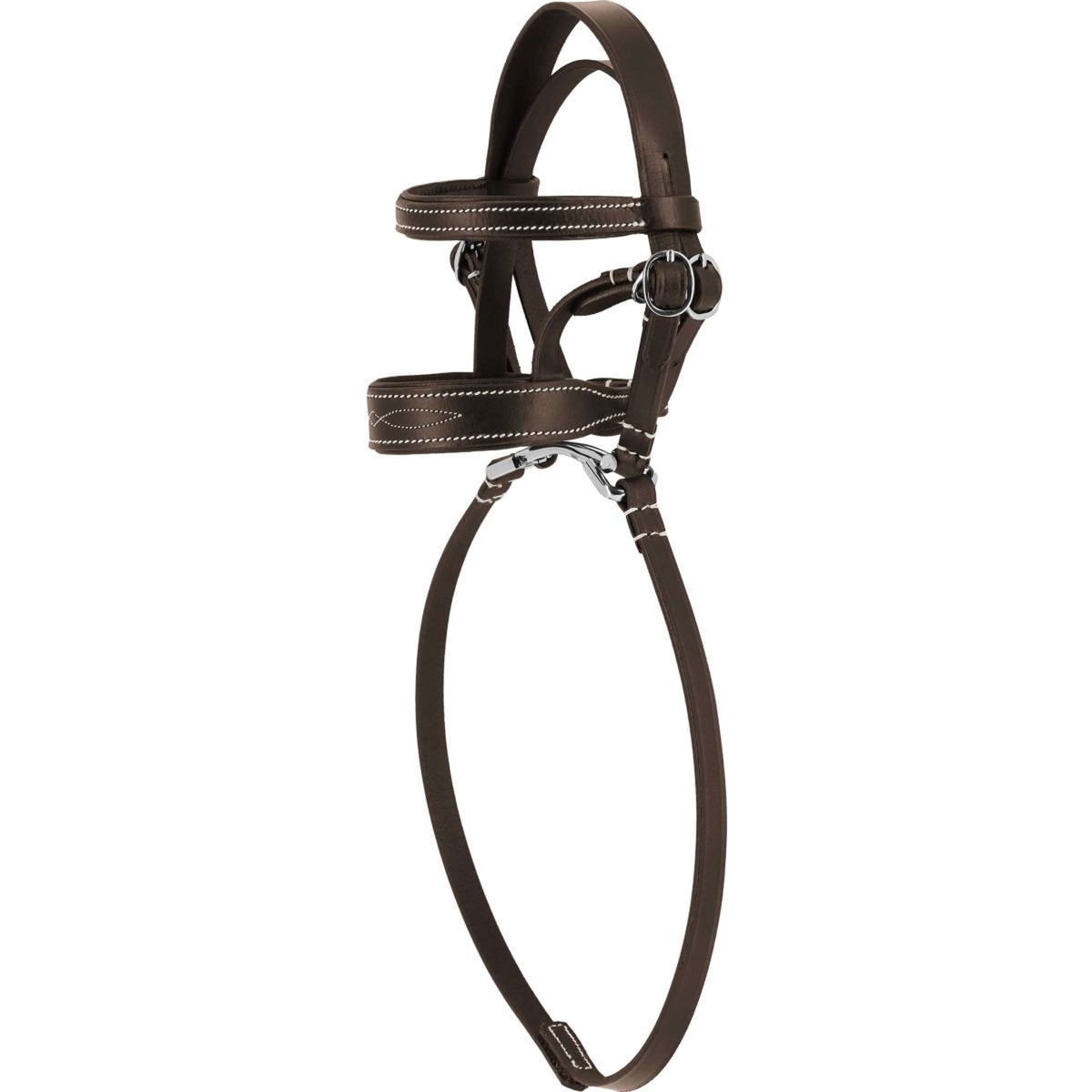 EQUITHÈME Pony Academy Zaum Havanna