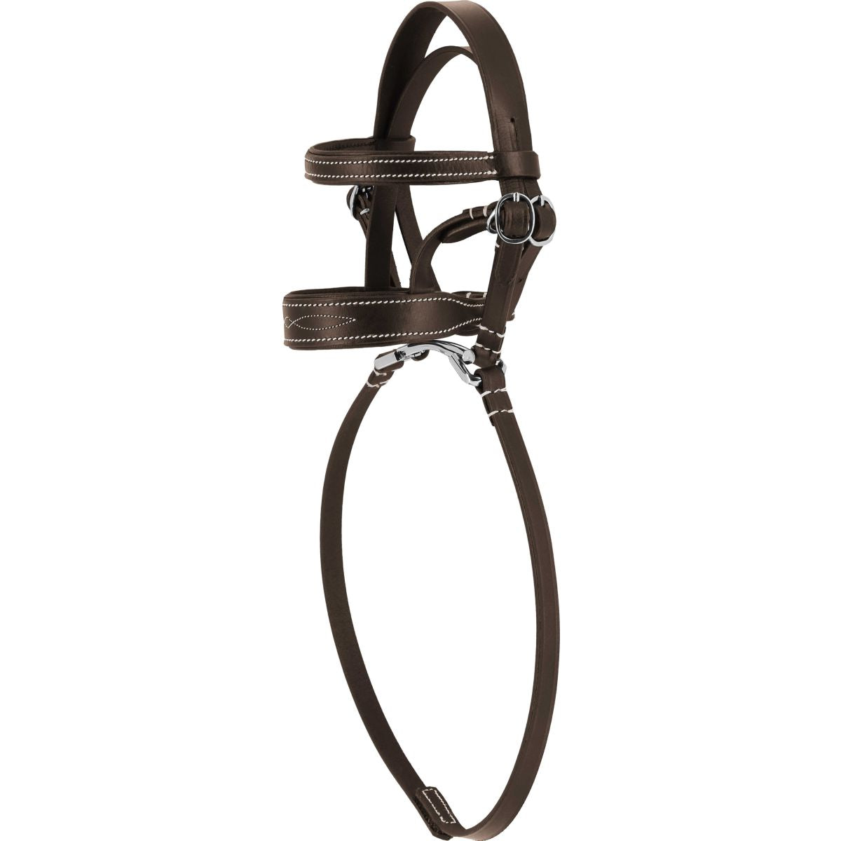 EQUITHÈME Pony Academy Zaum Havanna