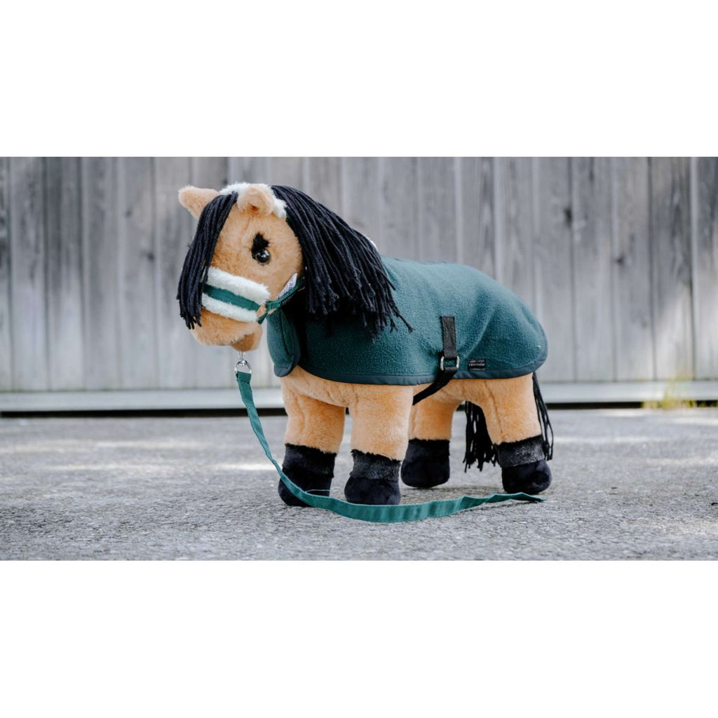 EQUITHÈME Pony Academy Halfterset Dunkel grün
