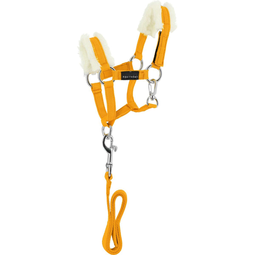 EQUITHÈME Pony Academy Halfterset Gelb