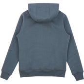 EQUITHÈME Pullover Axel Grau