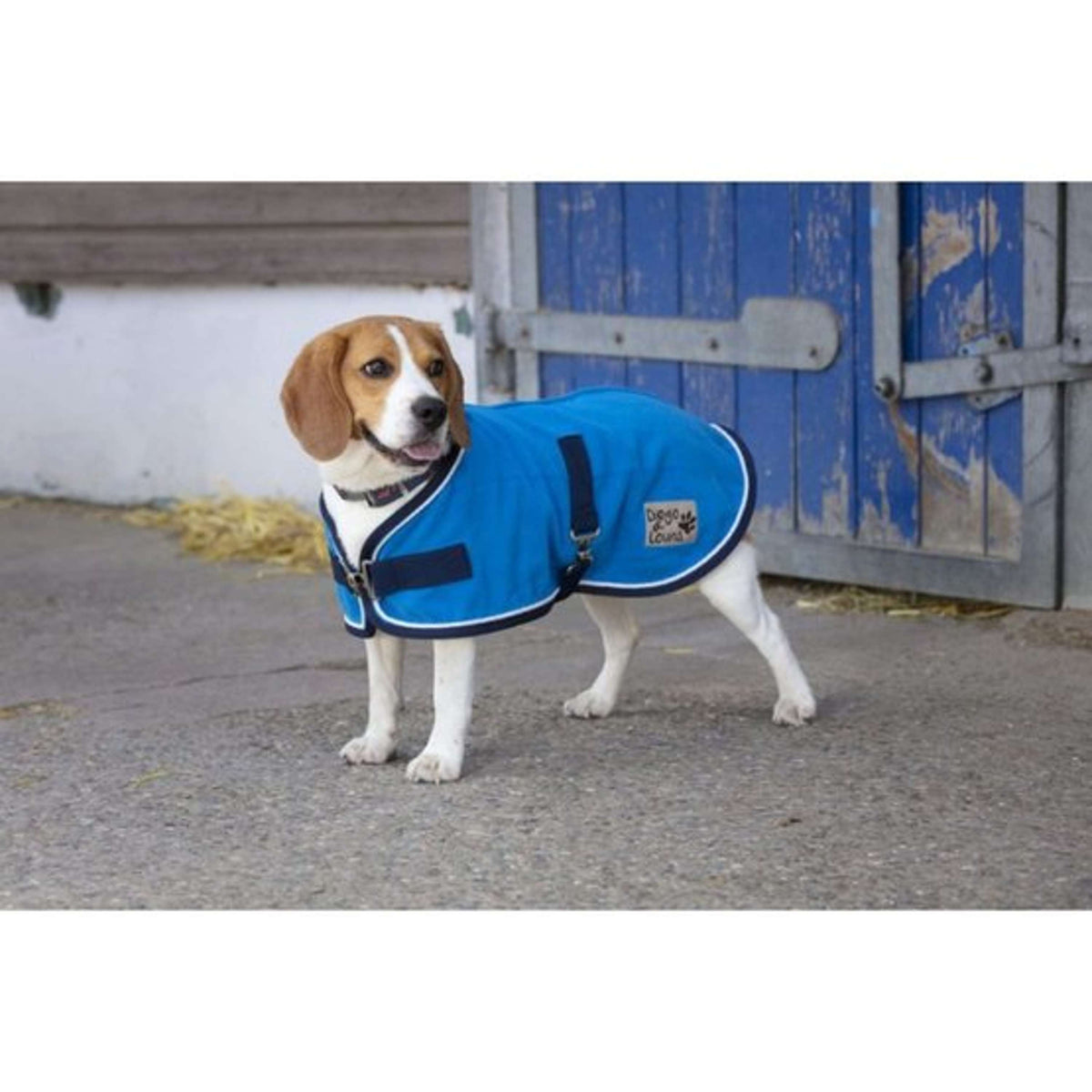 Diego & Louna Hundedecke Polyfun Hellblau/Navy