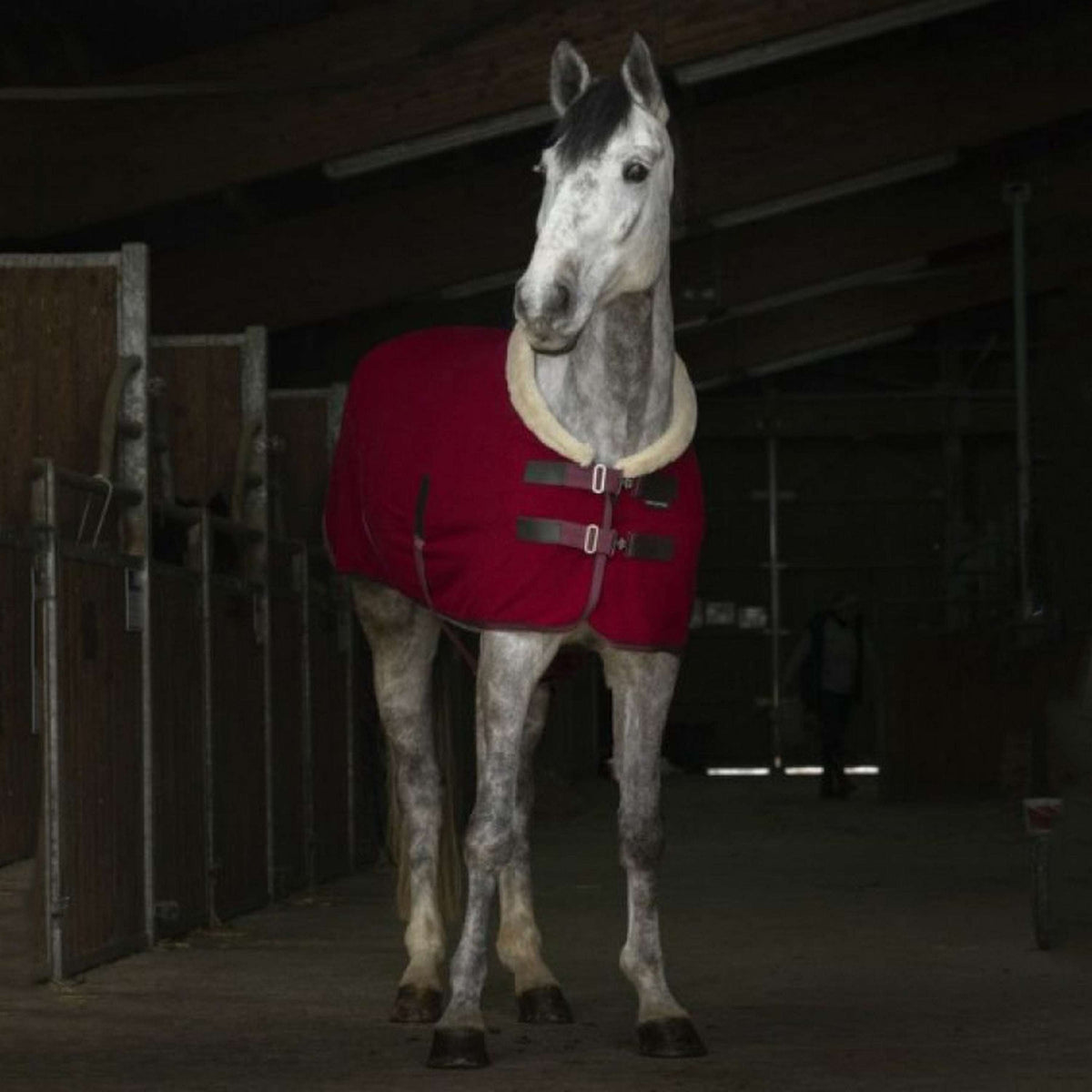 EQUITHÈME Fleecedecke Teddy Bordeaux/weiß