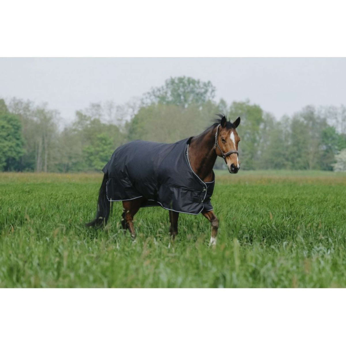 EQUITHÈME Outdoordecke Tyrex 600D Standard 50g Schwarz