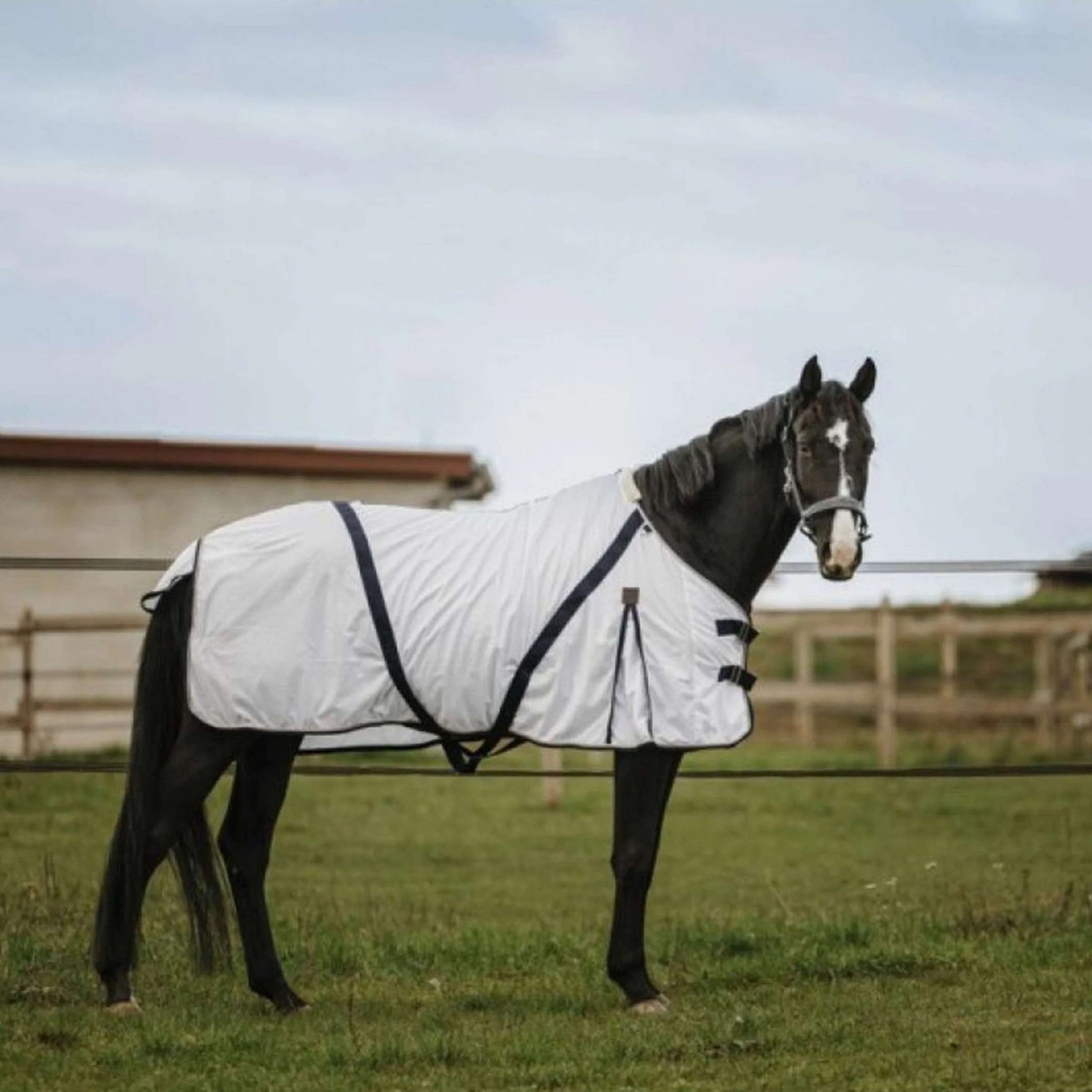 EQUITHÈME Fliegendecke Mesh Weiß EQUITHÈME Fliegendecke Mesh Weiß