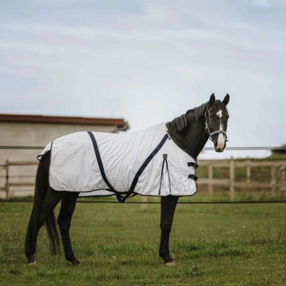 EQUITHÈME Fliegendecke Mesh Weiß