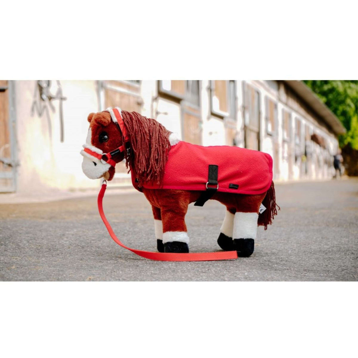 EQUITHÈME Teppichset anzeigen Mini Pony Academy Rot