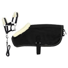 EQUITHÈME Teppichset anzeigen Mini Pony Academy Schwarz Glitzer