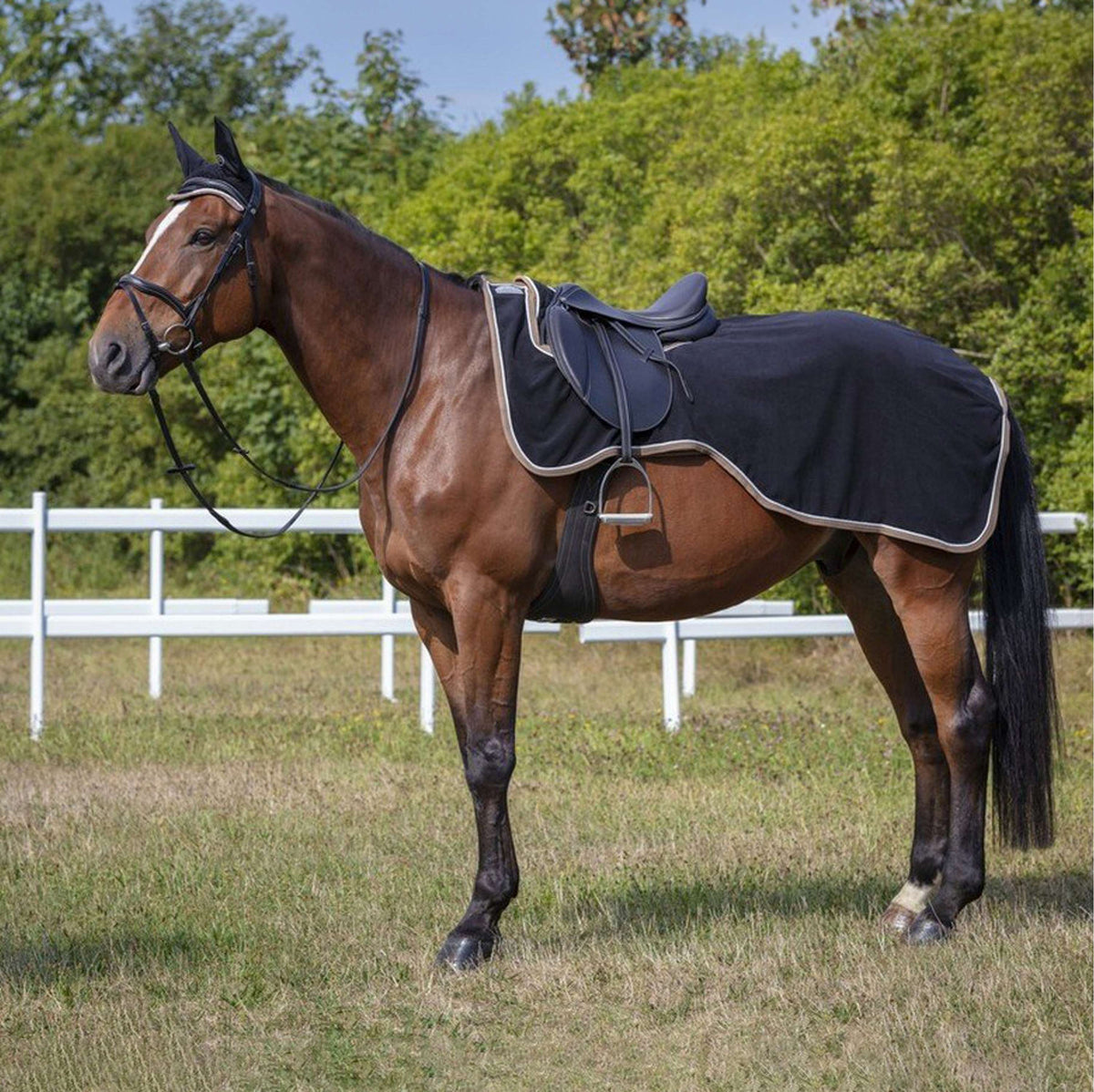 EQUITHÈME Ausreitdecke Polyfun Navy