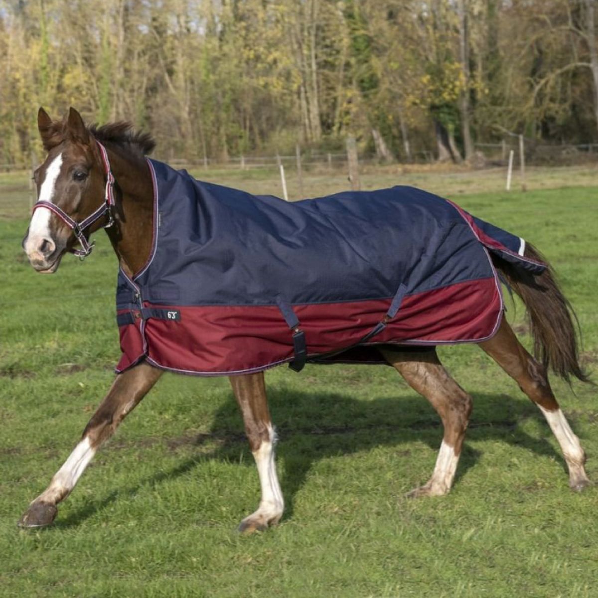 EQUITHÈME Outdoordecke Tyrex 1200D 50g mit Halbem Hals Navy/Bordeaux