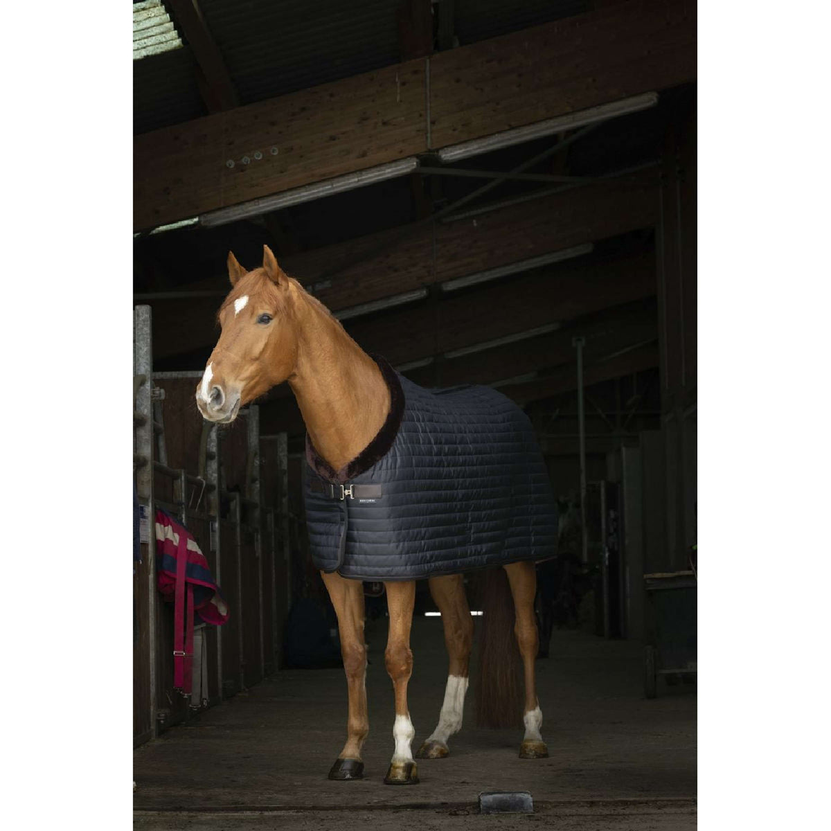 EQUITHÈME Stalldecke Teddy Gefüttert mit Synthetischem Schaffell Schwarz/Braun