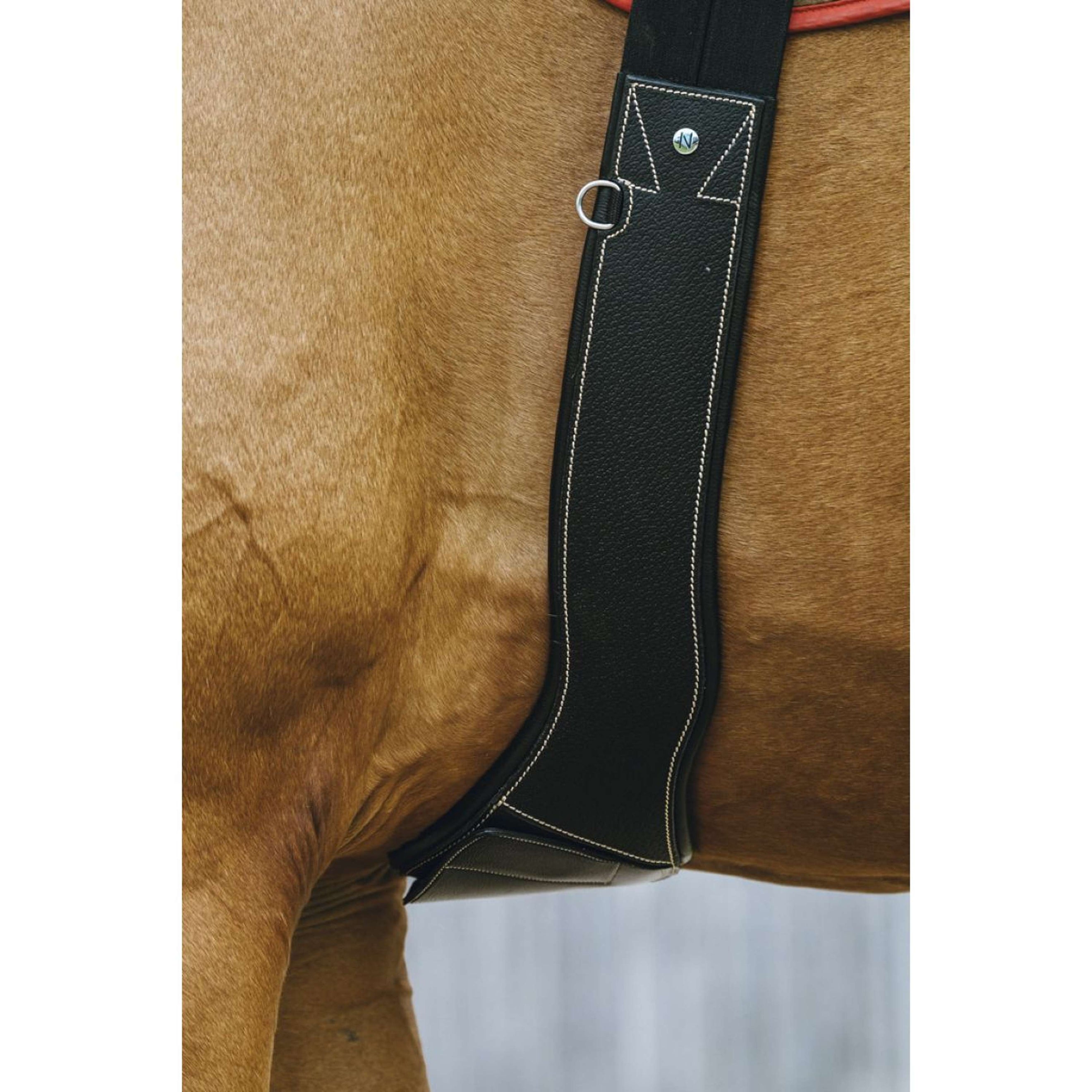 Norton Sattelgurt Magnet Anatomisch Schwarz Norton Sattelgurt Magnet Anatomisch Schwarz