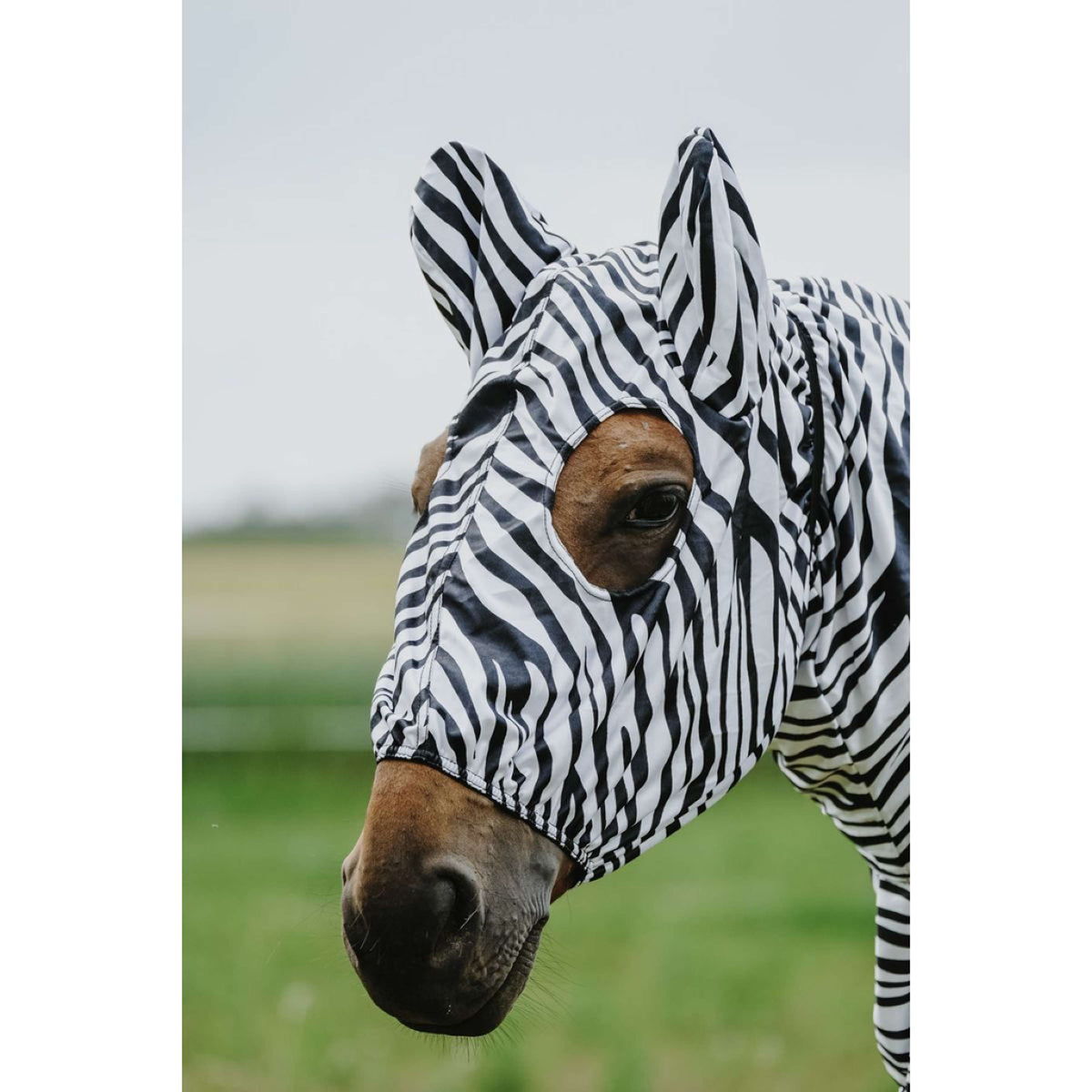 Riding World Ekzemmaske Zebra