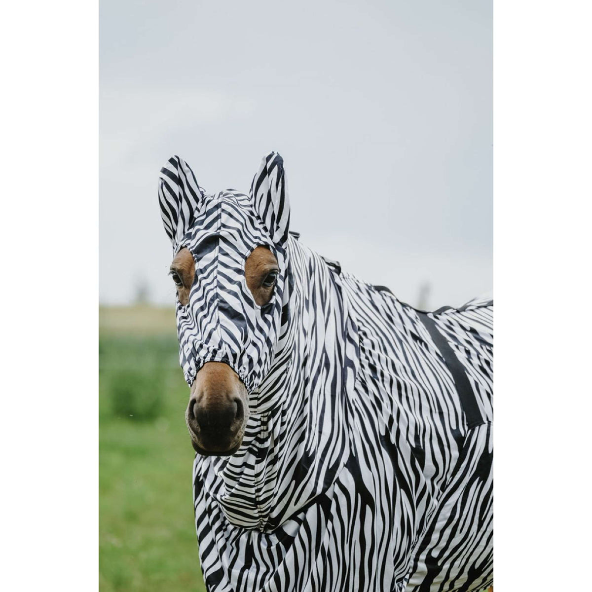 Riding World Ekzemmaske Zebra