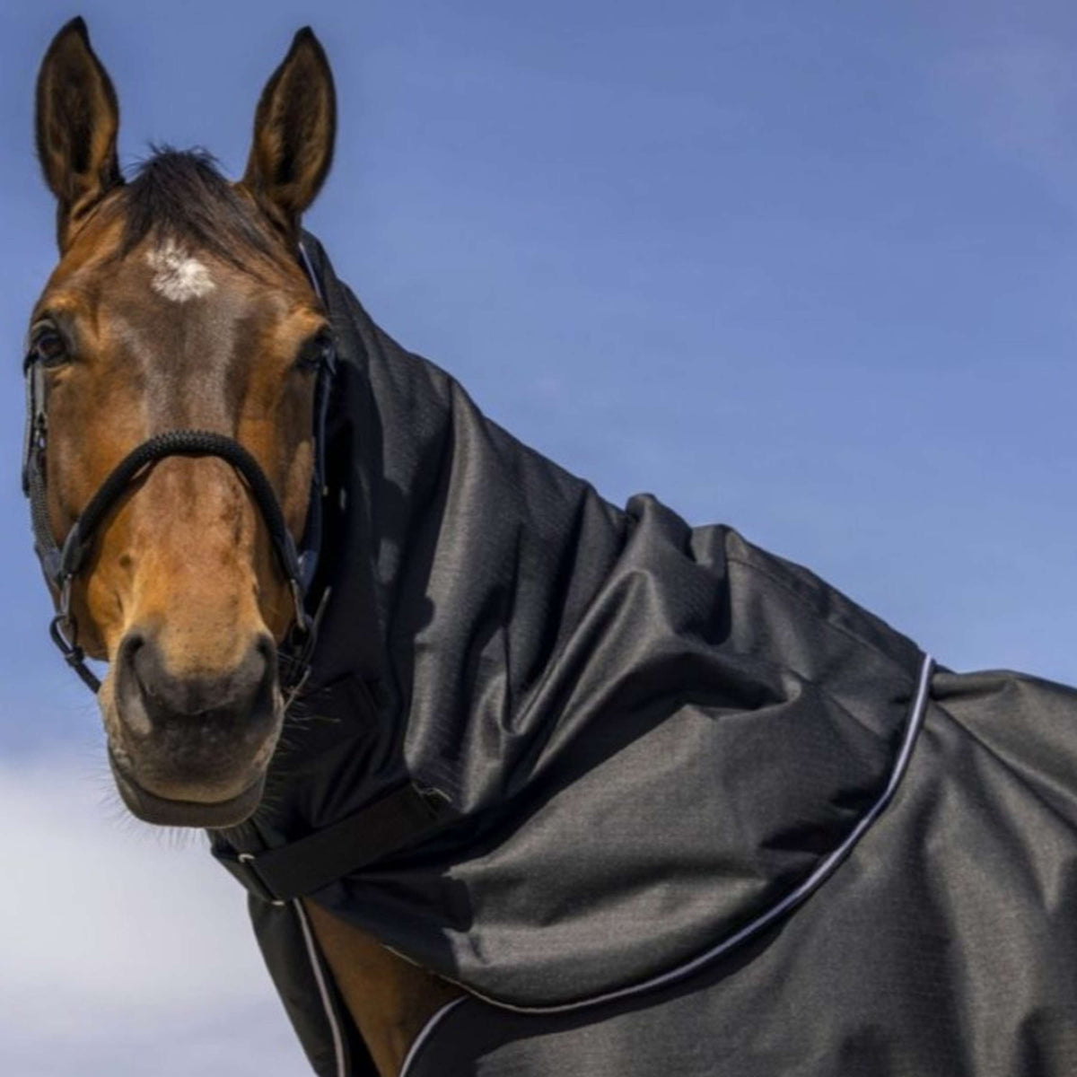 EQUITHÈME Halsstück Tyrex 600D 0g Schwarz