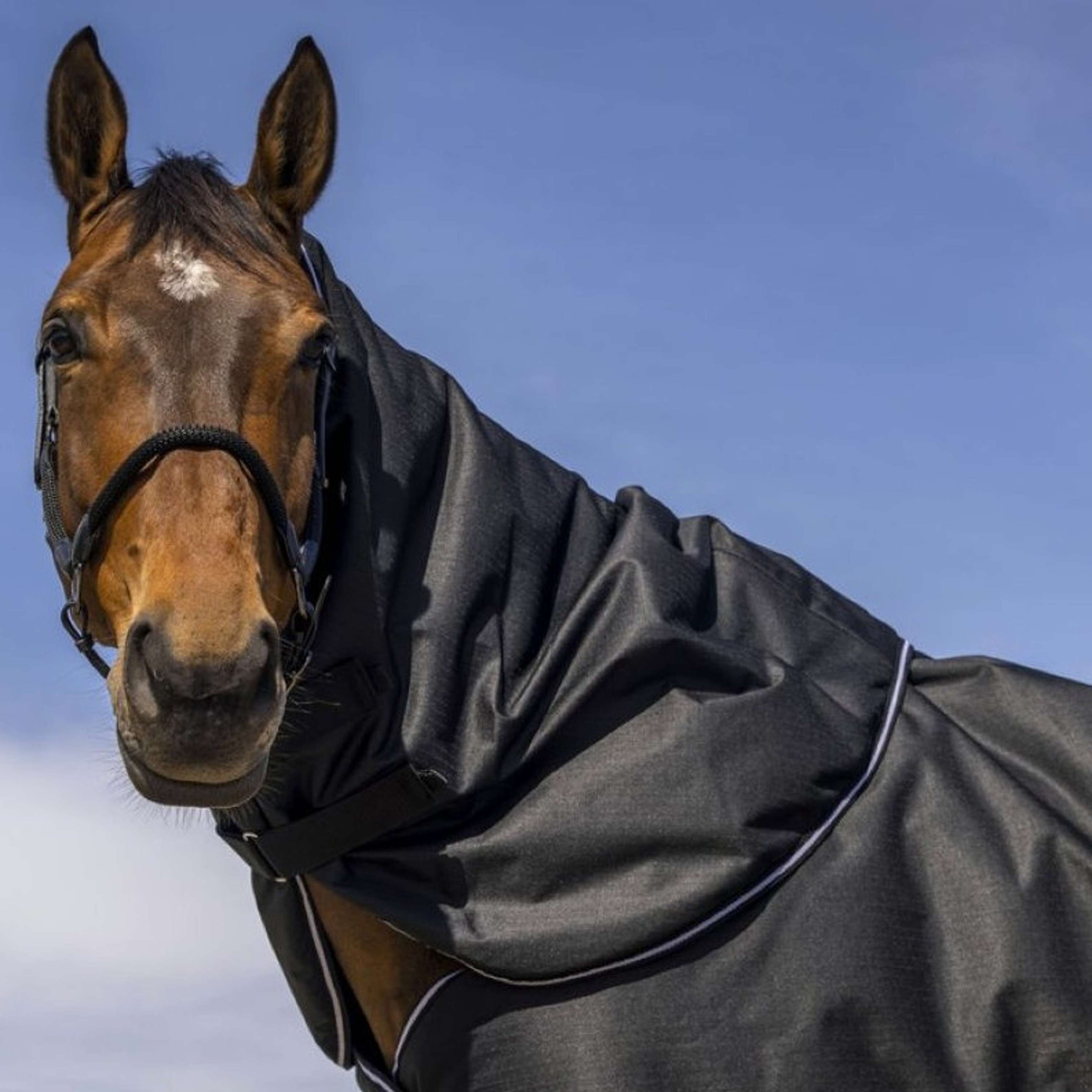 EQUITHÈME Halsstück Tyrex 600D 200g Schwarz