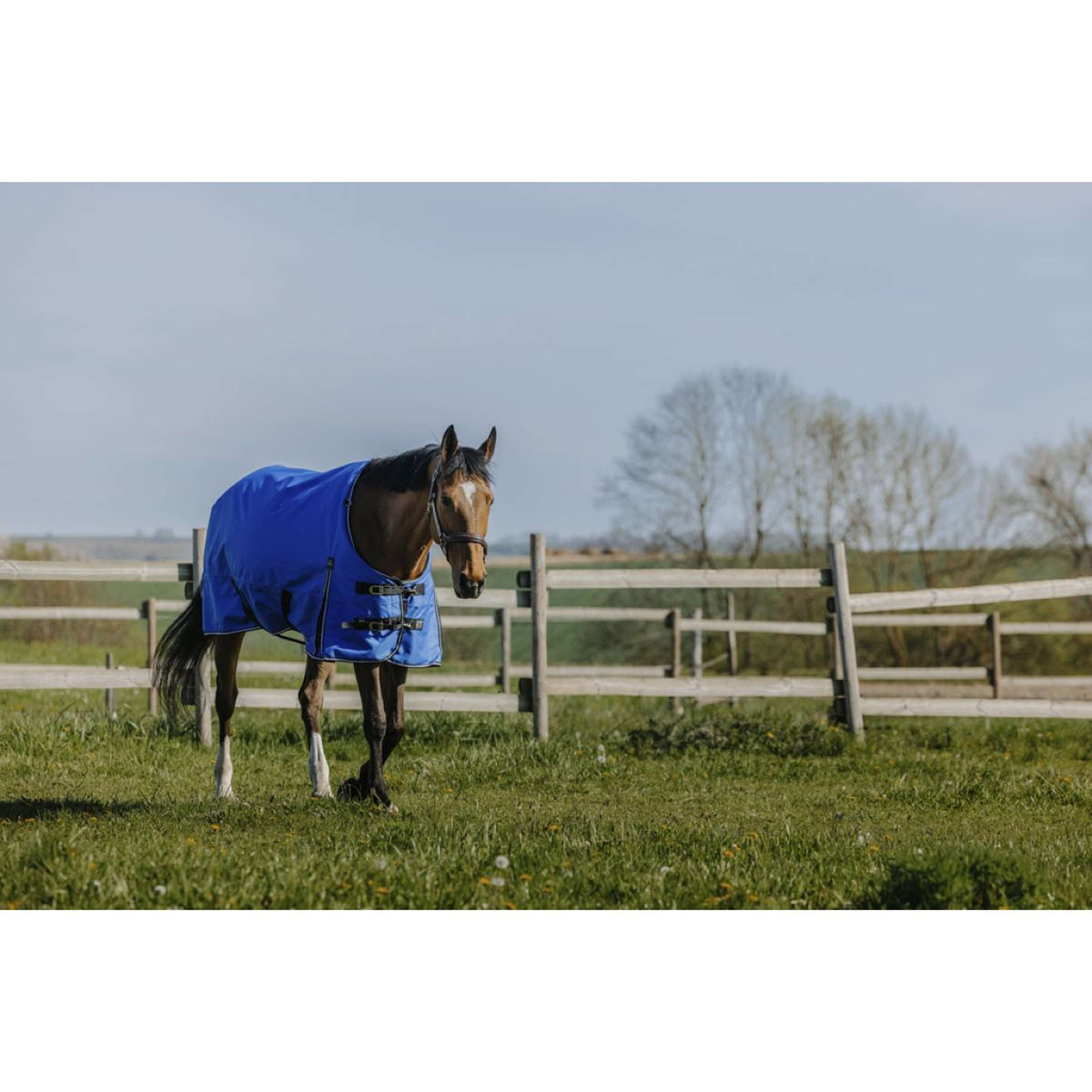 EQUITHÈME Outdoordecke Tyrex 1200D 150g Aisance Standard Royal Blue