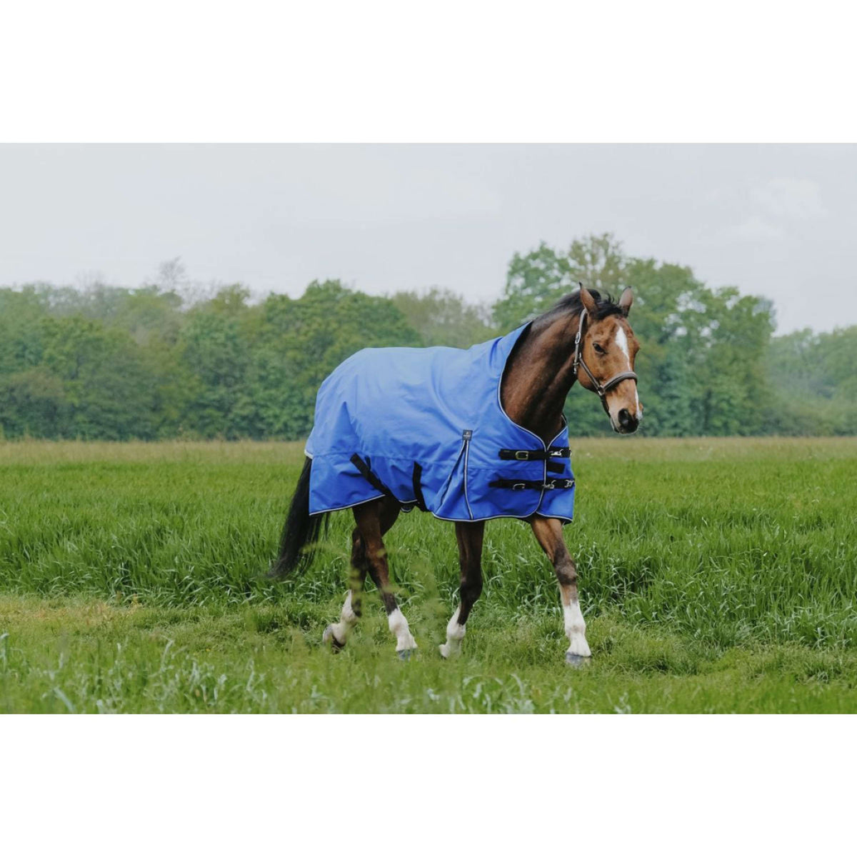 EQUITHÈME Outdoordecke Tyrex 1200D 300g Aisance High Neck Royal Blue