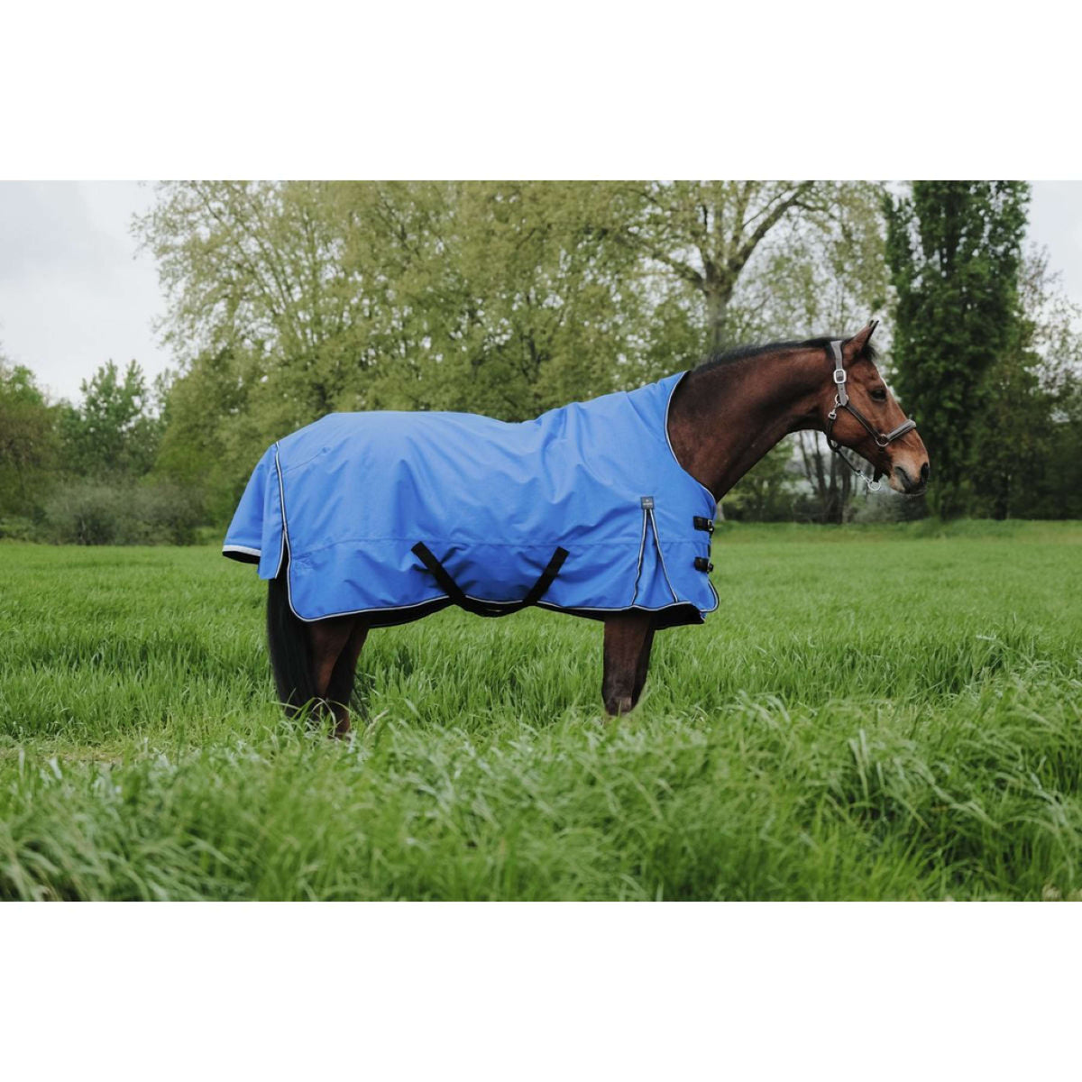 EQUITHÈME Outdoordecke Tyrex 1200D 0g Aisance High Neck Royal Blue