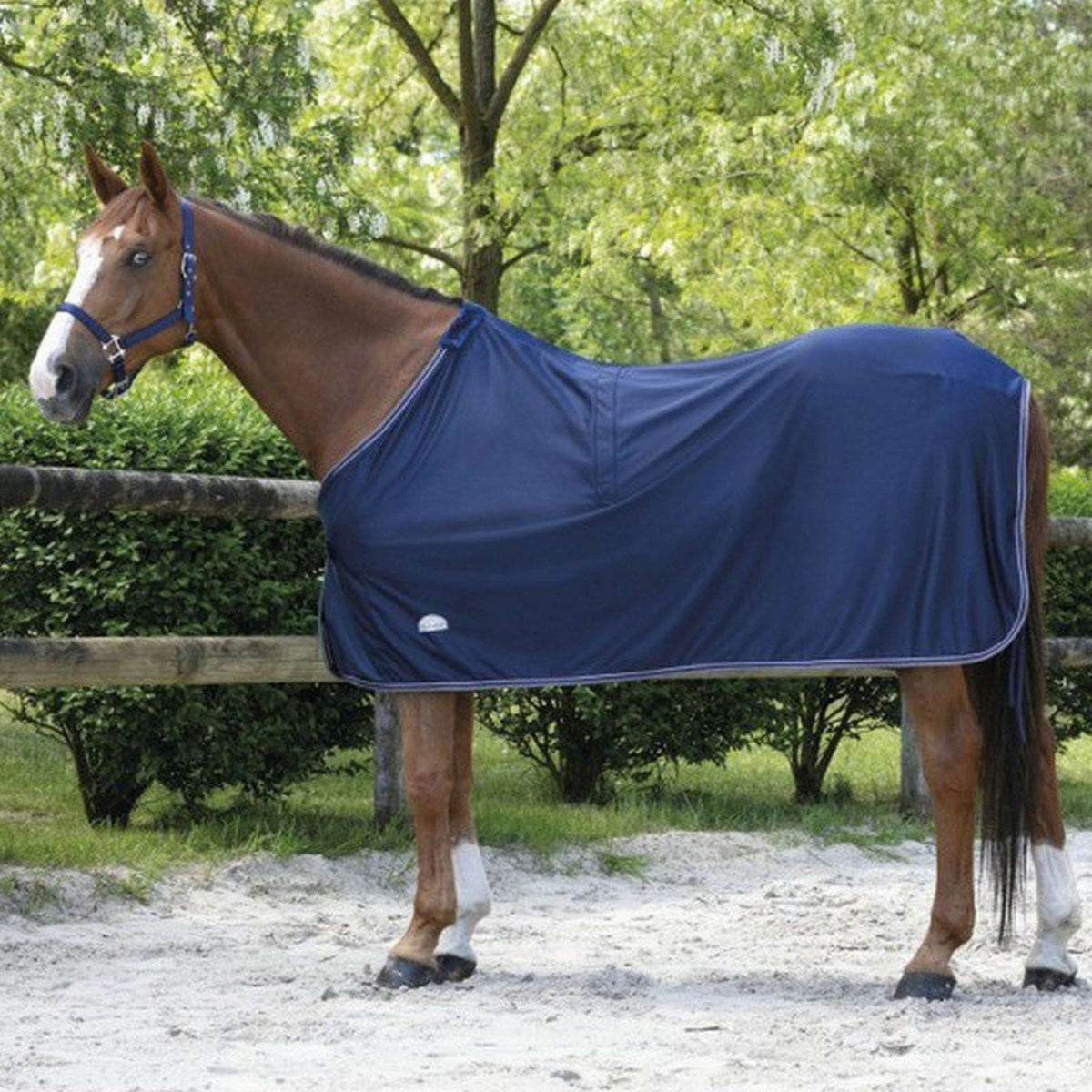 EQUITHÈME Abschwitzdecke Microfleece Navy