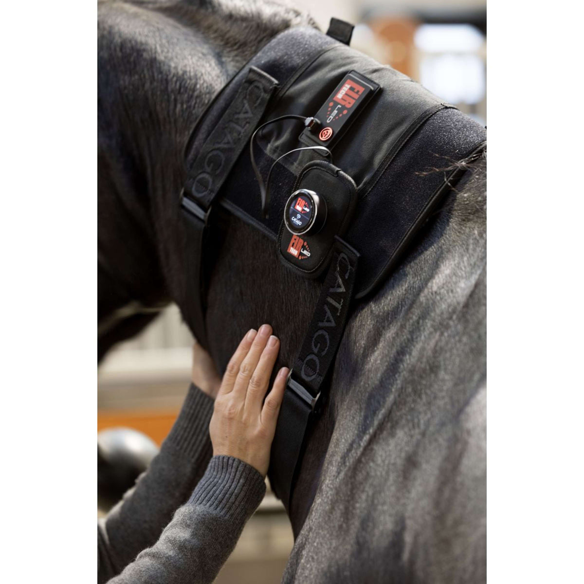 Catago LED-Therapiepad Fir-Tech Q27