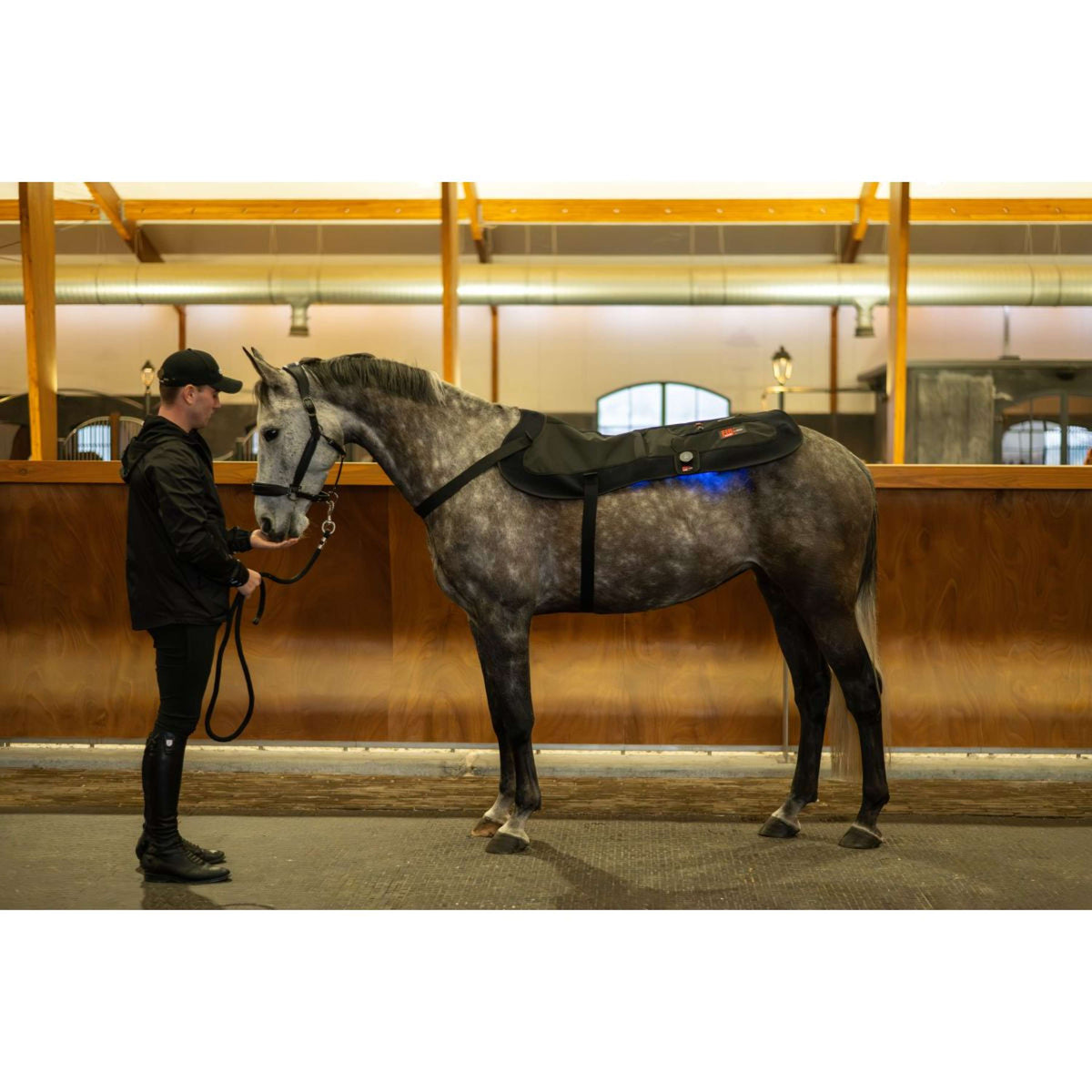 Catago LED-Therapiepad Fir-Tech X84