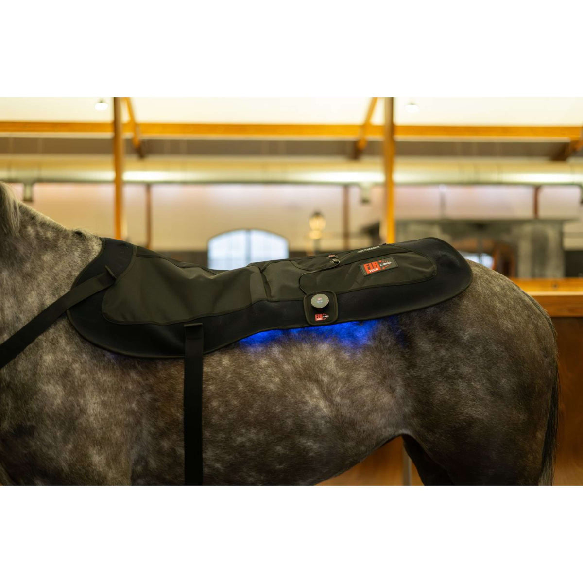 Catago LED-Therapiepad Fir-Tech X84