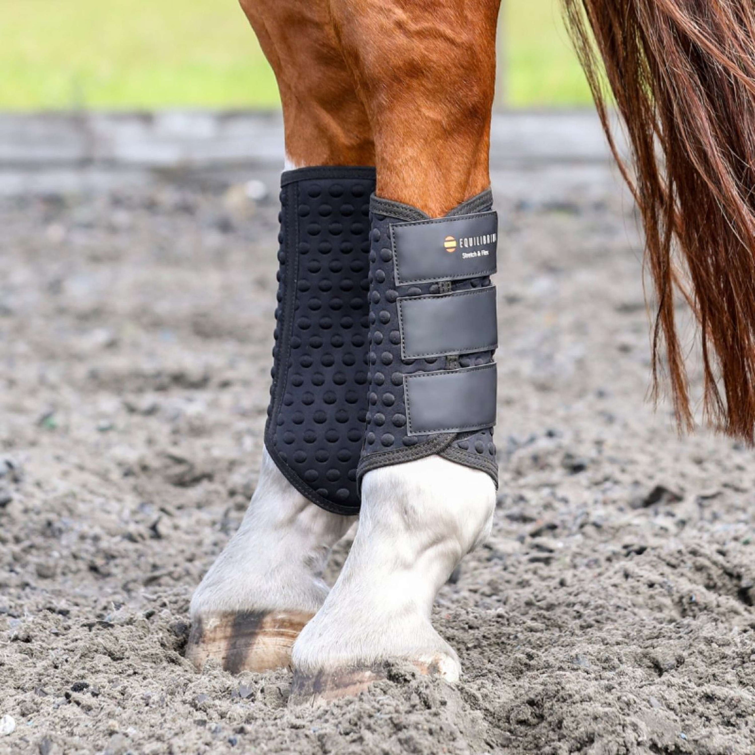 Equilibrium Gamaschen Stretch & Flex Flatwork Schwarz Equilibrium Gamaschen Stretch & Flex Flatwork Schwarz