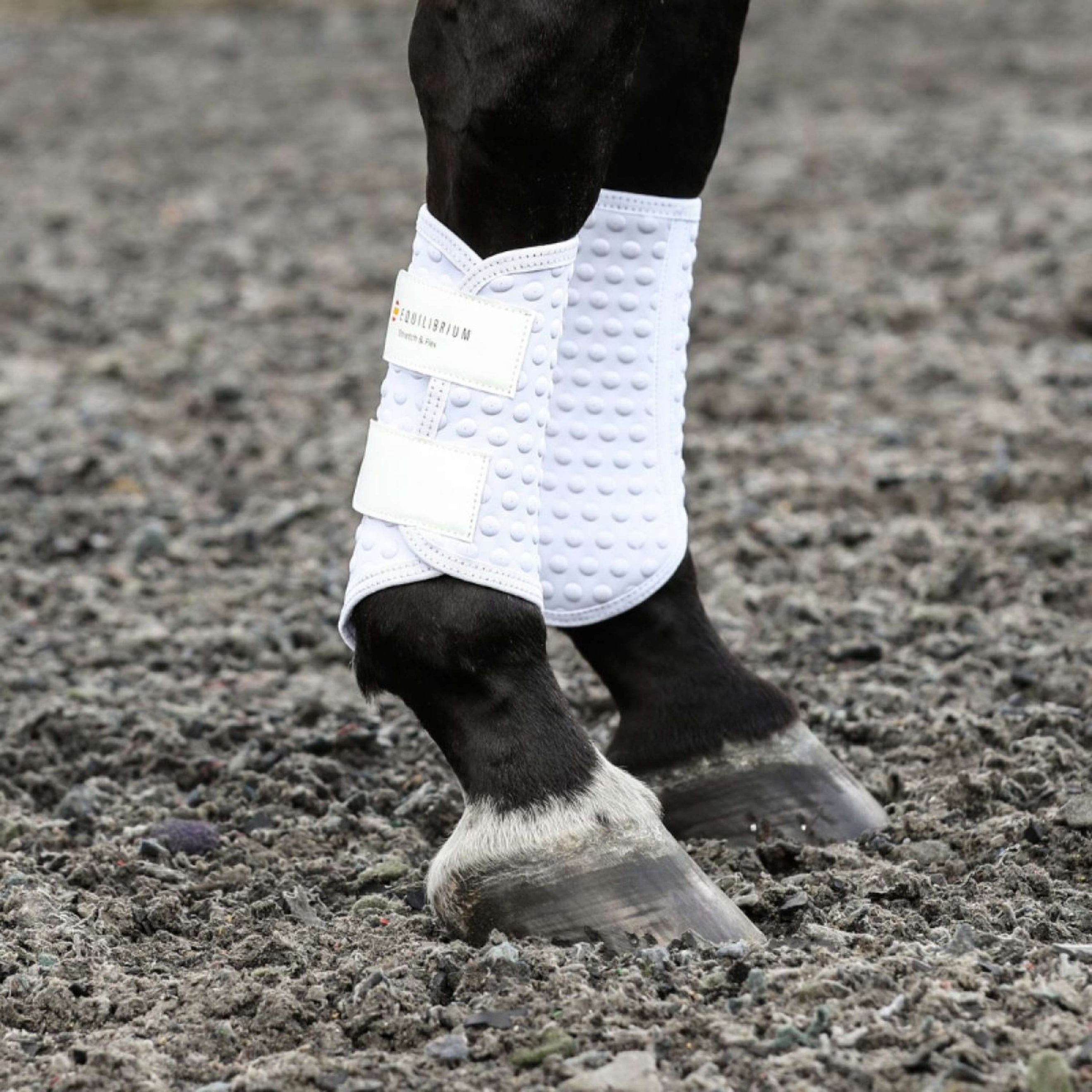 Equilibrium Gamaschen Stretch & Flex Flatwork Weiß Equilibrium Gamaschen Stretch & Flex Flatwork Weiß