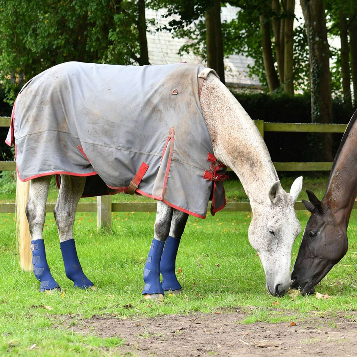 Equilibrium Gamaschen Equi-Chaps Hardy Navy