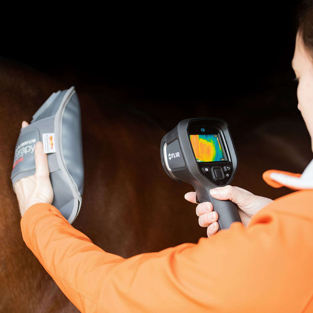 Equilibrium Massagehandschuh Hotspot Grau