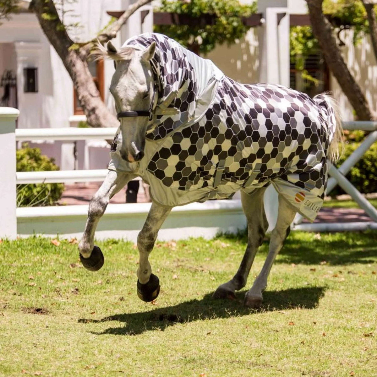 Equilibrium Fliegendecke Field Relief Grau