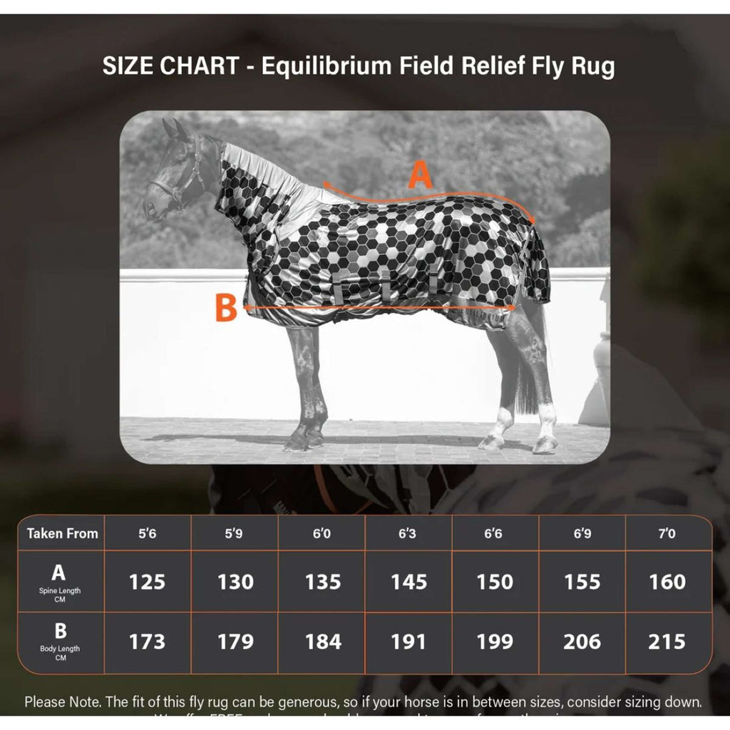 Equilibrium Fliegendecke Field Relief Grau