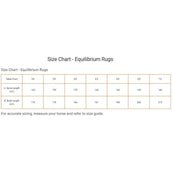 Equilibrium Cooler Quick Chill Hellblau